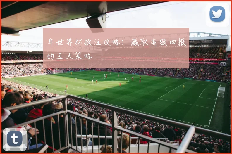 年世界杯投注攻略:赢取高额回报的五大策略