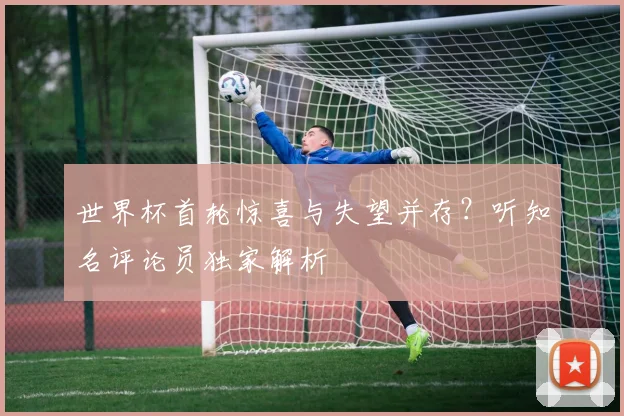 世界杯首轮惊喜与失望并存?听知名评论员独家解析