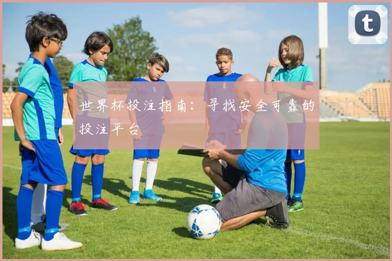 世界杯投注指南:寻找安全可靠的投注平台