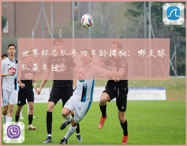 世界杯各队平均年龄揭秘:哪支球队最年轻?