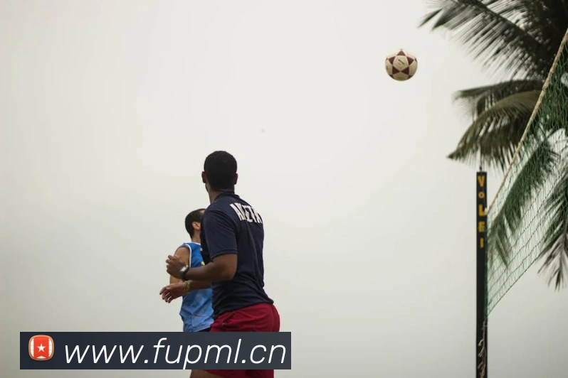 App Interface Preview